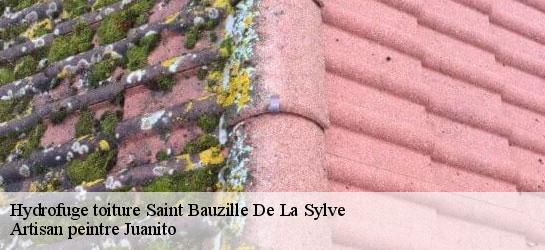 Hydrofuge toiture 34230