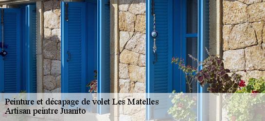 Peinture et décapage de volet 34270