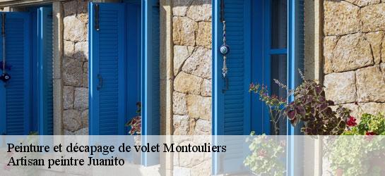 Peinture et décapage de volet  34310