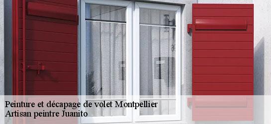 Peinture et décapage de volet  34000