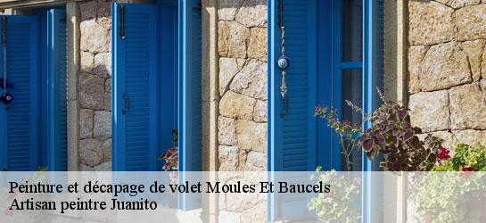 Peinture et décapage de volet  34190