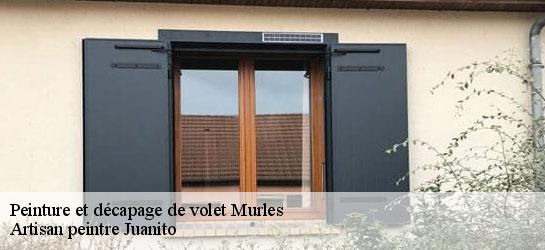 Peinture et décapage de volet 34980