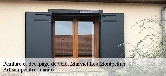 Peinture et décapage de volet  34570