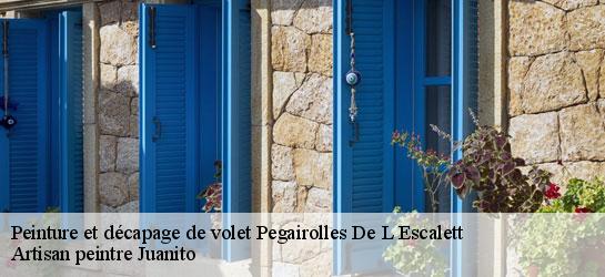 Peinture et décapage de volet  34700