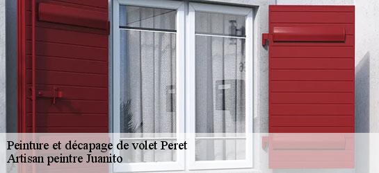 Peinture et décapage de volet  34800