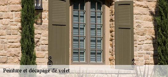 Peinture et décapage de volet 34120