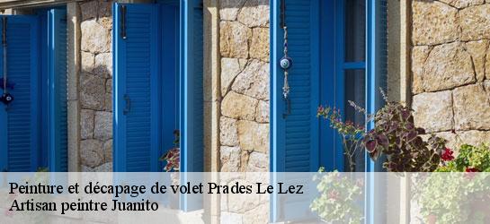 Peinture et décapage de volet 34730