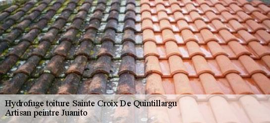 Hydrofuge toiture 34270