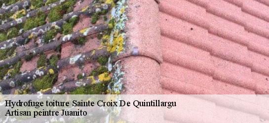 Hydrofuge toiture 34270