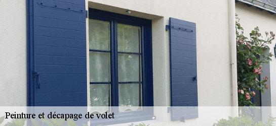 Peinture et décapage de volet 34620