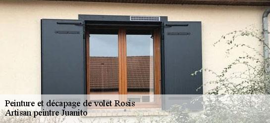 Peinture et décapage de volet 34610