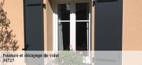 Peinture et décapage de volet 34725