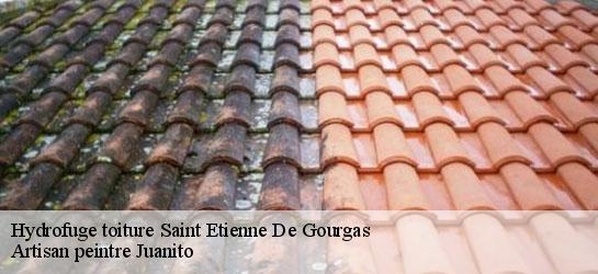 Hydrofuge toiture  34700