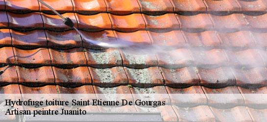 Hydrofuge toiture  34700