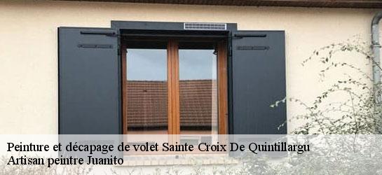 Peinture et décapage de volet 34270