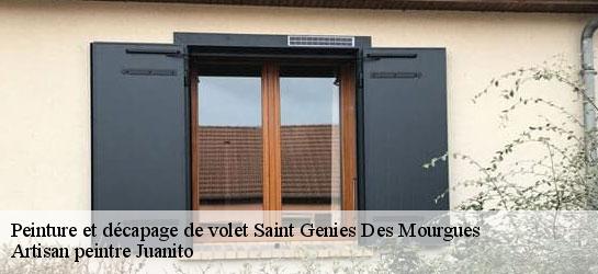 Peinture et décapage de volet  34160