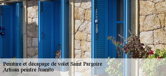 Peinture et décapage de volet 34230