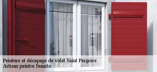 Peinture et décapage de volet 34230