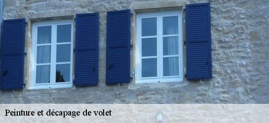 Peinture et décapage de volet  34220