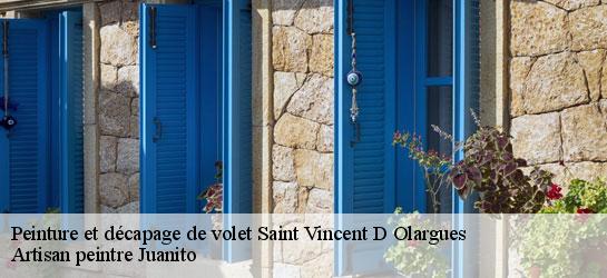 Peinture et décapage de volet 34390