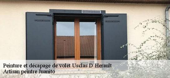 Peinture et décapage de volet 34230