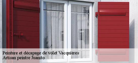 Peinture et décapage de volet 34270