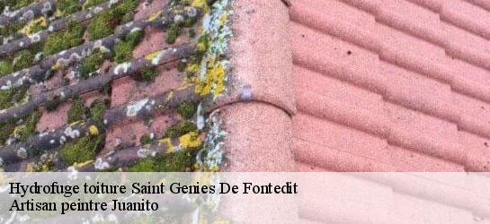 Hydrofuge toiture 34480