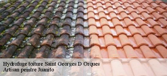 Hydrofuge toiture  34680