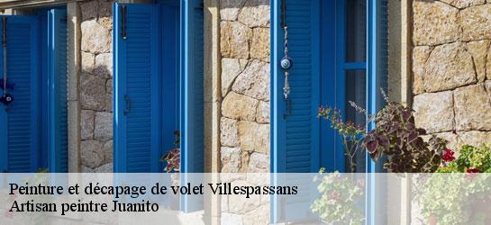 Peinture et décapage de volet 34360