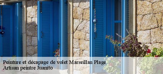 Peinture et décapage de volet 34340