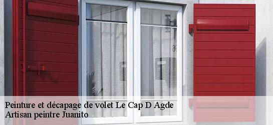 Peinture et décapage de volet 34300