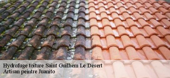 Hydrofuge toiture  34150