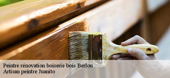 Peintre rénovation boiserie bois 34360