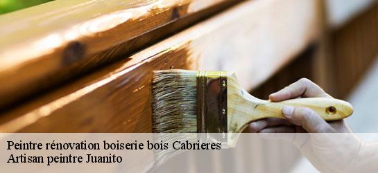 Peintre rénovation boiserie bois 34800