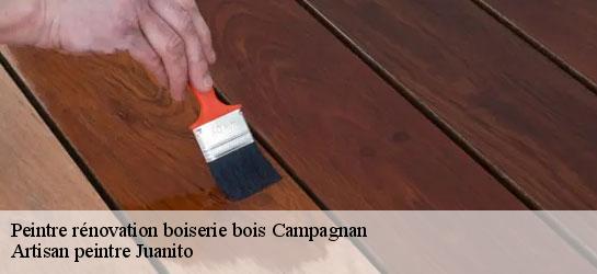 Peintre rénovation boiserie bois 34230