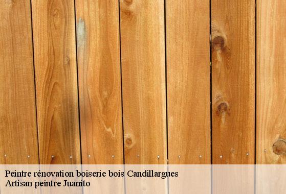 Peintre rénovation boiserie bois candillargues-34130 Artisan peintre Juanito