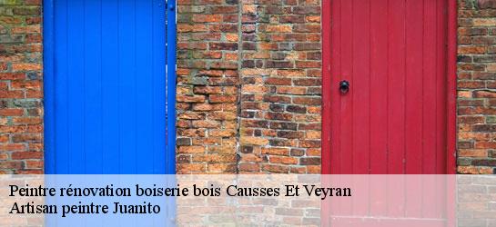 Peintre rénovation boiserie bois 34490