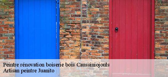 Peintre rénovation boiserie bois  34600