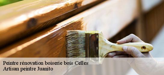 Peintre rénovation boiserie bois 34800