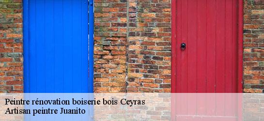 Peintre rénovation boiserie bois  34800