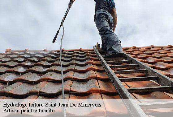 Hydrofuge toiture  saint-jean-de-minervois-34360 Artisan peintre Juanito