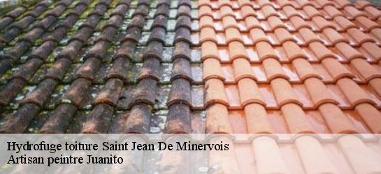 Hydrofuge toiture  34360