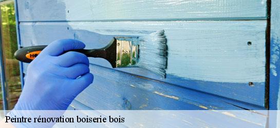 Peintre rénovation boiserie bois  34110