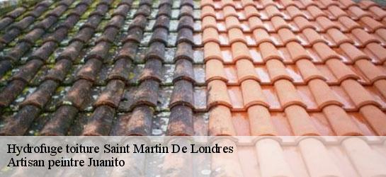 Hydrofuge toiture  34380