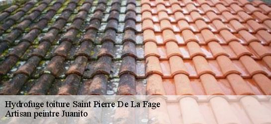 Hydrofuge toiture 34520