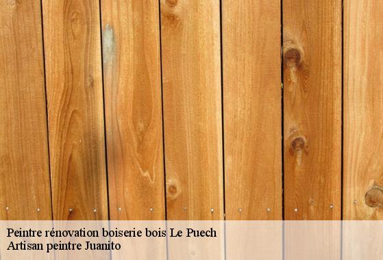Peintre rénovation boiserie bois le-puech-34700 Artisan peintre Juanito