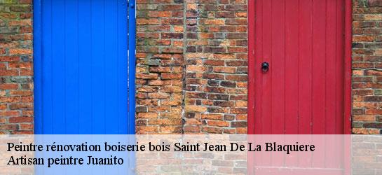 Peintre rénovation boiserie bois  34700