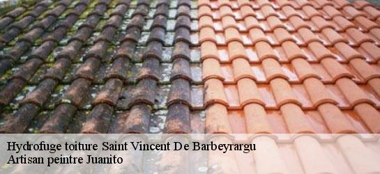 Hydrofuge toiture 34730