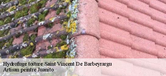 Hydrofuge toiture 34730