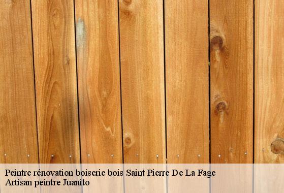 Peintre rénovation boiserie bois  saint-pierre-de-la-fage-34520 Artisan peintre Juanito